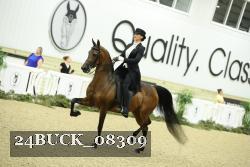 24BUCK_08309 thumbnail