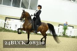 24BUCK_08310 thumbnail