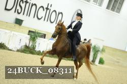 24BUCK_08311 thumbnail