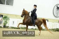 24BUCK_08313 thumbnail