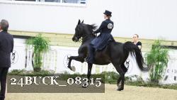 24BUCK_08315 thumbnail