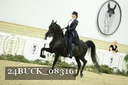 24BUCK_08316 thumbnail