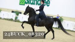 24BUCK_08320 thumbnail
