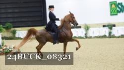 24BUCK_08321 thumbnail