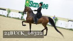 24BUCK_08322 thumbnail