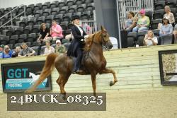 24BUCK_08325 thumbnail
