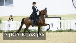 24BUCK_08326 thumbnail