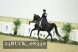 24BUCK_08340 thumbnail