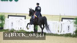 24BUCK_08341 thumbnail