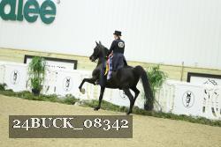 24BUCK_08342 thumbnail