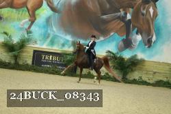 24BUCK_08343 thumbnail
