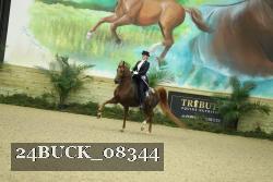 24BUCK_08344 thumbnail
