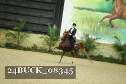 24BUCK_08345 thumbnail