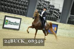 24BUCK_08346 thumbnail