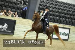 24BUCK_08347 thumbnail