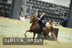 24BUCK_08348 thumbnail
