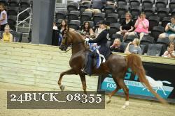 24BUCK_08355 thumbnail