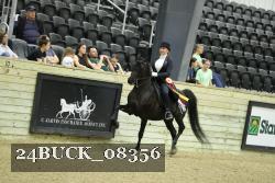 24BUCK_08356 thumbnail