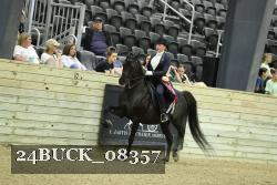 24BUCK_08357 thumbnail