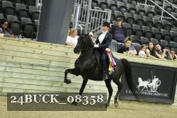 24BUCK_08358 thumbnail