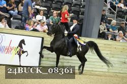 24BUCK_08361 thumbnail