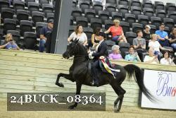 24BUCK_08364 thumbnail