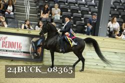 24BUCK_08365 thumbnail