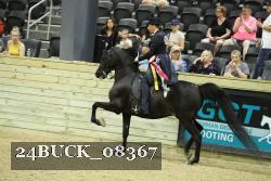 24BUCK_08367 thumbnail