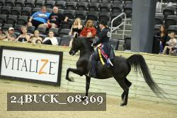 24BUCK_08369 thumbnail