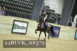 24BUCK_08372 thumbnail