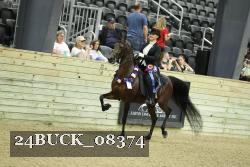 24BUCK_08374 thumbnail