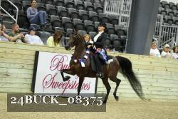 24BUCK_08375 thumbnail