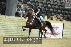 24BUCK_08377 thumbnail