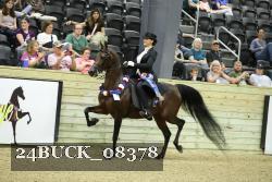 24BUCK_08378 thumbnail