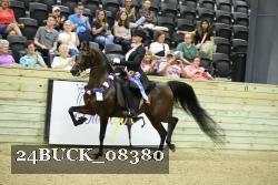 24BUCK_08380 thumbnail