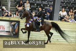 24BUCK_08381 thumbnail
