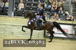 24BUCK_08383 thumbnail