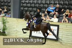 24BUCK_08386 thumbnail