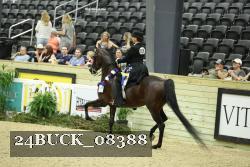 24BUCK_08388 thumbnail