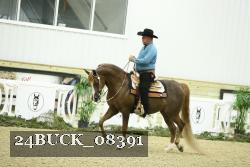 24BUCK_08391 thumbnail