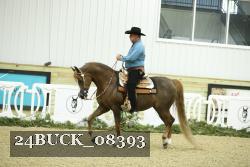 24BUCK_08393 thumbnail