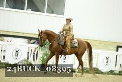24BUCK_08395 thumbnail