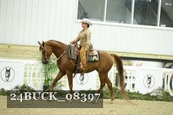 24BUCK_08397 thumbnail