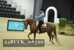 24BUCK_08399 thumbnail