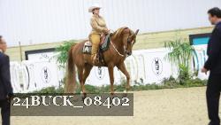 24BUCK_08402 thumbnail