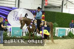 24BUCK_08414 thumbnail