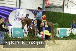 24BUCK_08416 thumbnail