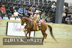 24BUCK_08423 thumbnail