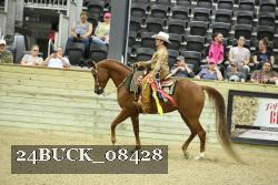 24BUCK_08428 thumbnail