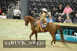 24BUCK_08431 thumbnail